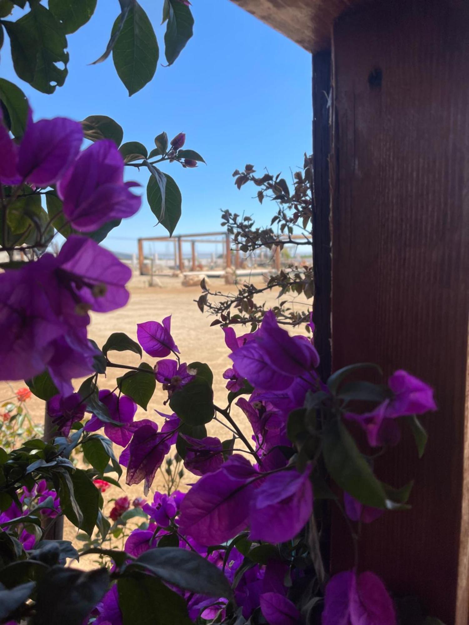 Hacienda 7 Amores El Porvenir Eksteriør billede